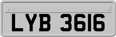 LYB3616