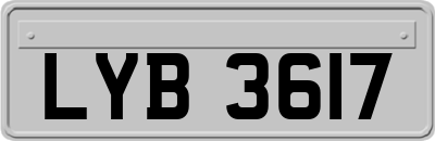 LYB3617