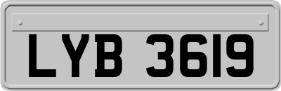 LYB3619