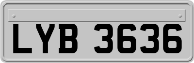 LYB3636