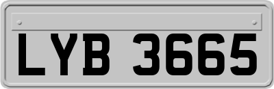 LYB3665