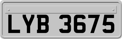 LYB3675