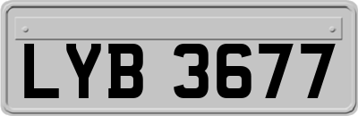 LYB3677