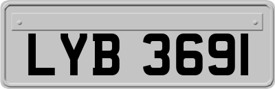 LYB3691