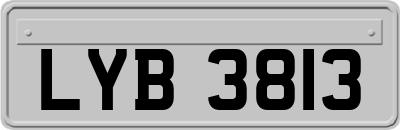 LYB3813