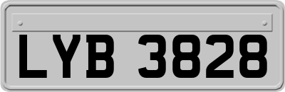 LYB3828