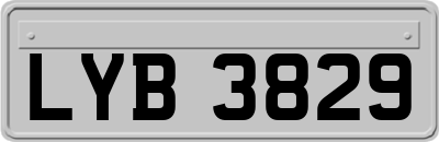 LYB3829