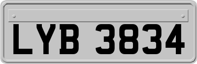 LYB3834