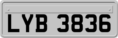 LYB3836