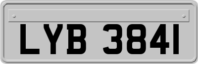 LYB3841
