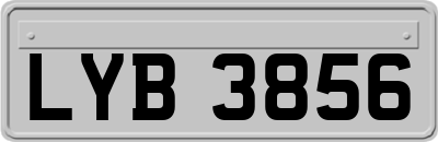 LYB3856