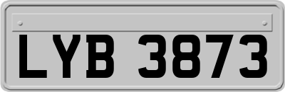 LYB3873