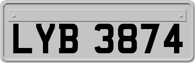 LYB3874