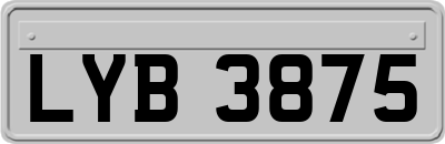 LYB3875