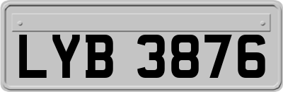 LYB3876