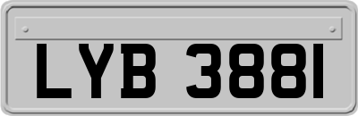 LYB3881