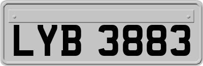 LYB3883