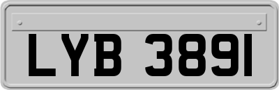 LYB3891