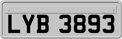 LYB3893