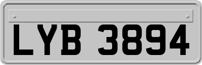 LYB3894