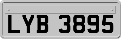 LYB3895