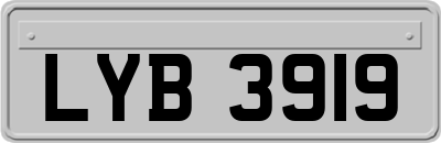LYB3919