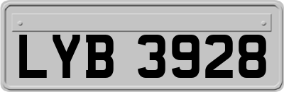LYB3928
