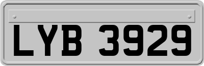 LYB3929