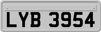 LYB3954