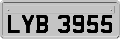 LYB3955
