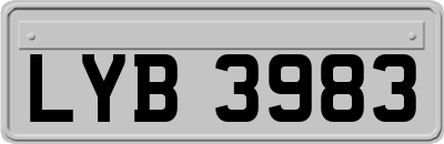 LYB3983