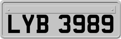 LYB3989