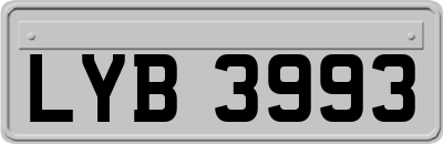 LYB3993