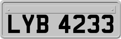 LYB4233