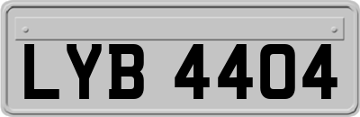 LYB4404