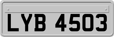 LYB4503