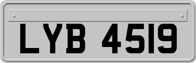 LYB4519