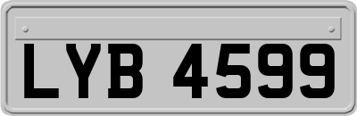 LYB4599