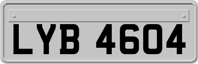 LYB4604