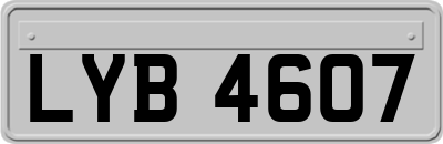 LYB4607
