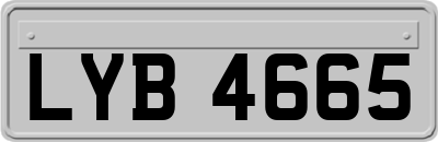 LYB4665