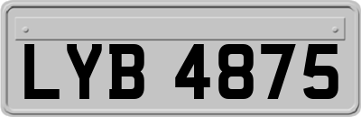 LYB4875