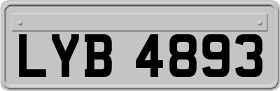 LYB4893