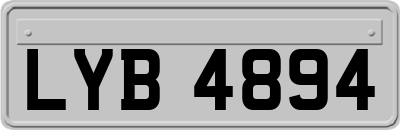 LYB4894