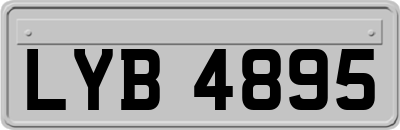 LYB4895