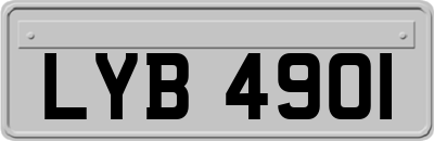 LYB4901