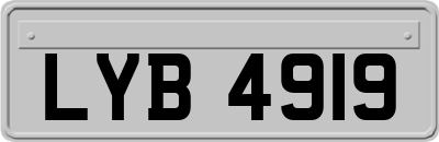 LYB4919