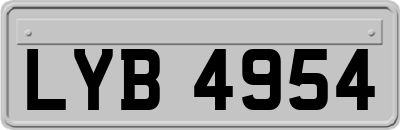 LYB4954