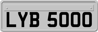 LYB5000