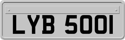 LYB5001